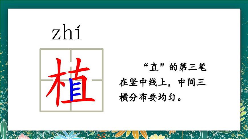 【核心素養(yǎng)】部編版小學(xué)語(yǔ)文二年級(jí)下冊(cè) 4 鄧小平爺爺植樹(shù) 課件第7頁(yè)