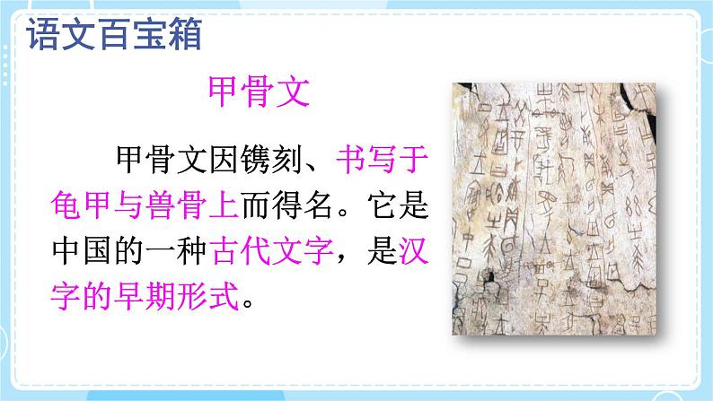 【核心素养】部编版小学语文二下 识字3 “贝”的故事 第2课时 课件第5页