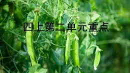統(tǒng)編版語文四年級上冊第二單元重點復習（課件）