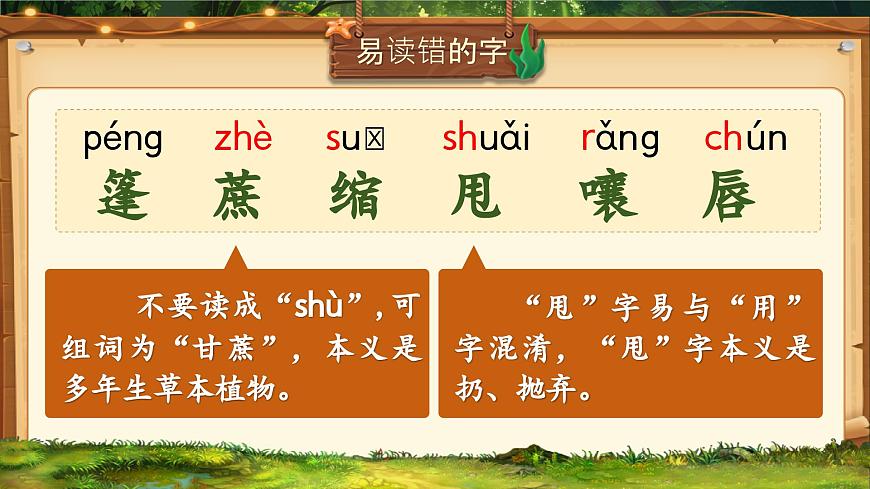 部編版六年級語文上冊第五單元復(fù)習(xí)課件第5頁