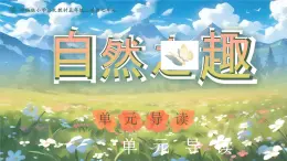 部编版五年级语文上册第23课《鸟的天堂》优质课件