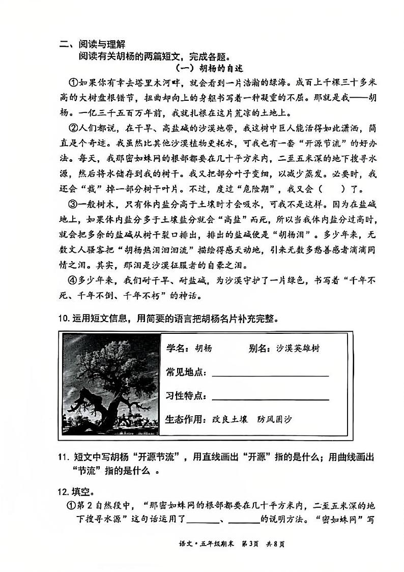 2025北京丰台五年级(上)期末真题语文试卷第3页