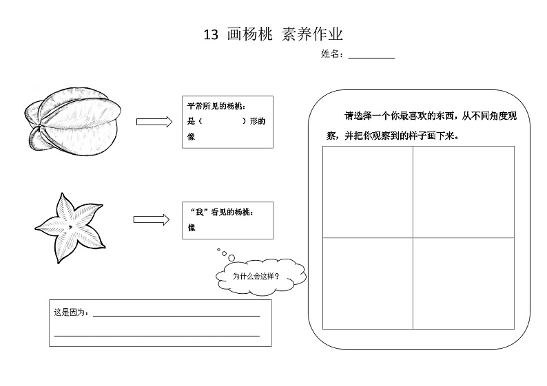 13 画杨桃 作业单第1页
