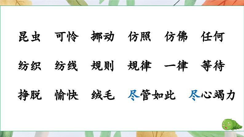 22小毛虫第7页