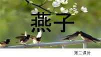 统编版（2024）燕子多媒体教学ppt课件