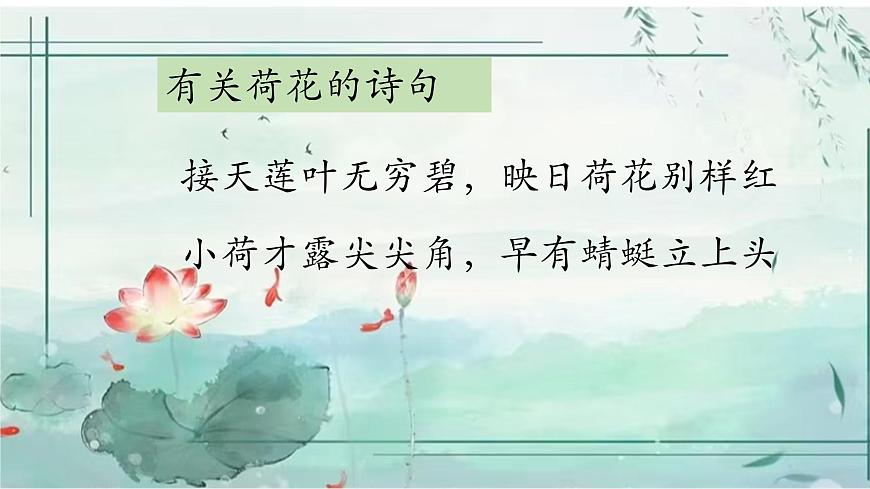 第一單元3荷花課件第2頁(yè)