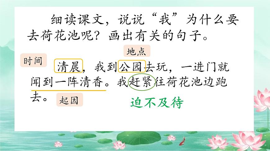 第一單元3荷花課件第6頁(yè)
