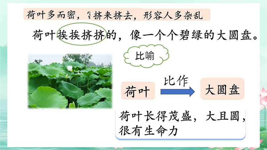 第一單元3荷花課件第7頁(yè)