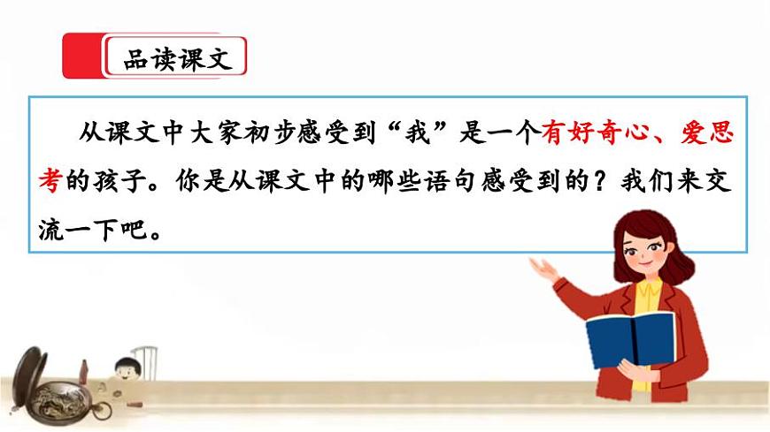 16《表里的生物》第二課時(shí) 課件第3頁