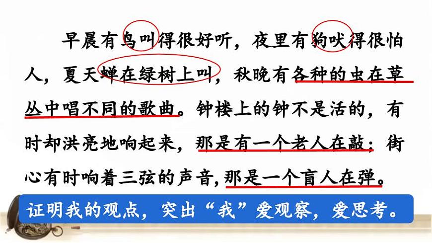 16《表里的生物》第二課時(shí) 課件第5頁