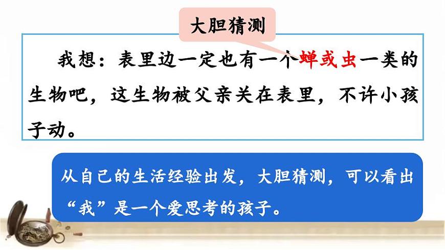 16《表里的生物》第二課時(shí) 課件第7頁
