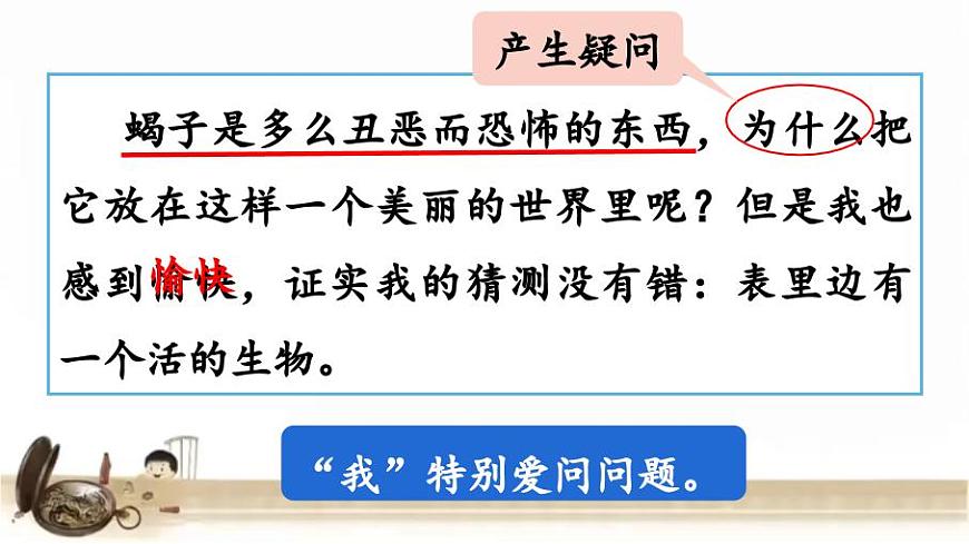 16《表里的生物》第二課時(shí) 課件第8頁