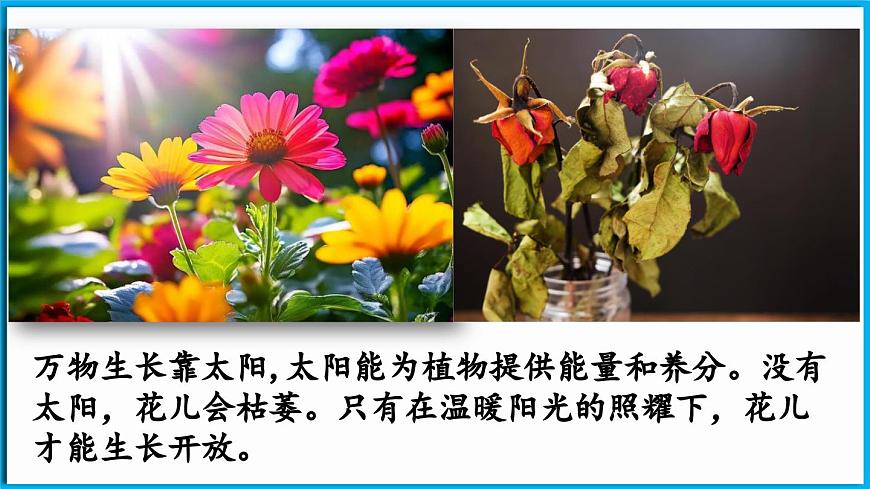 統(tǒng)編版(2024)語文一年級下冊--1《熱愛中國共產(chǎn)黨》第2課時（課件）第7頁