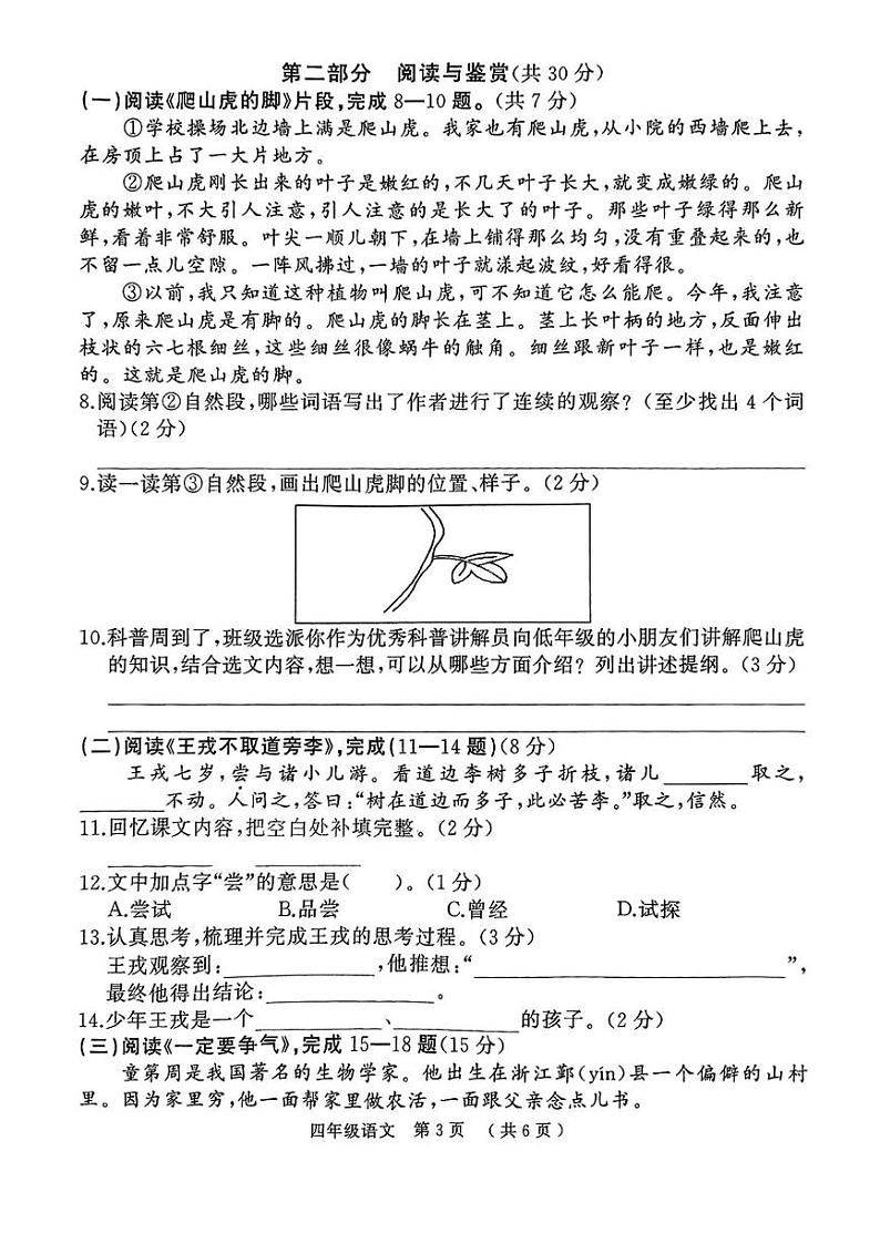 河南省驻马店市驿城区2024-2025学年四年级上学期期末语文试题第3页