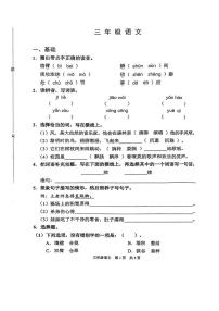 上海市浦东新区2024-2025学年三年级上学期期末考试语文试题