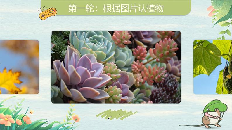 部编版2025春小学语文三年级下册第一单元习作《我的植物朋友》 课件第7页