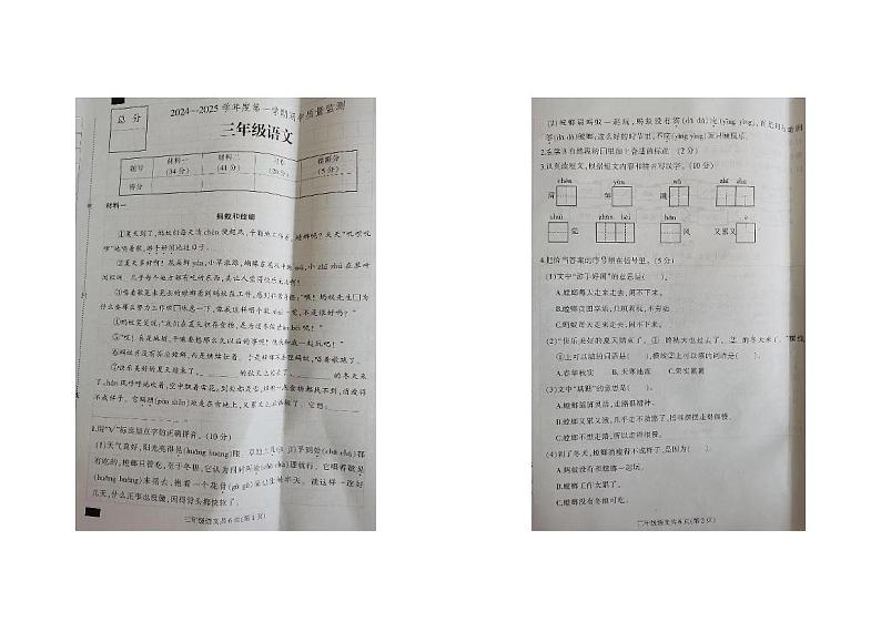 河北省保定市蠡县2024-2025学年三年级上学期期中语文试卷第1页