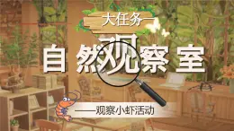 部编版2025春小学语文三年级下册第四单元《小虾》 课件