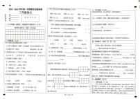 河北省邯郸市曲周县2024-2025学年三年级上学期1月期末语文试题