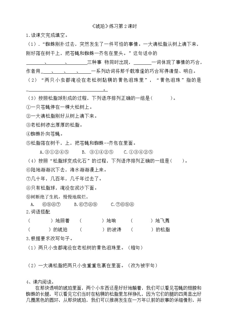 5琥珀第2课时 同步练习第1页