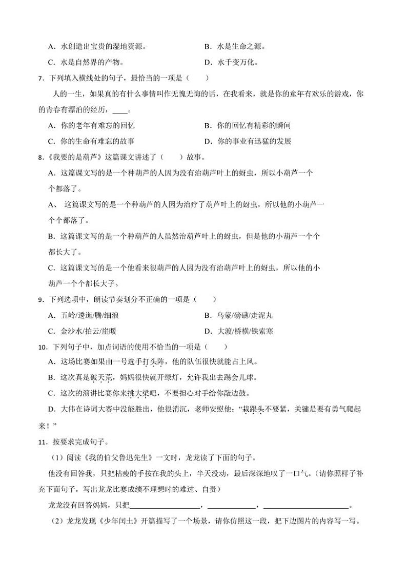 20224~2025学年统编版六年级语文上册期末模拟卷试卷(含答案+解析)第2页