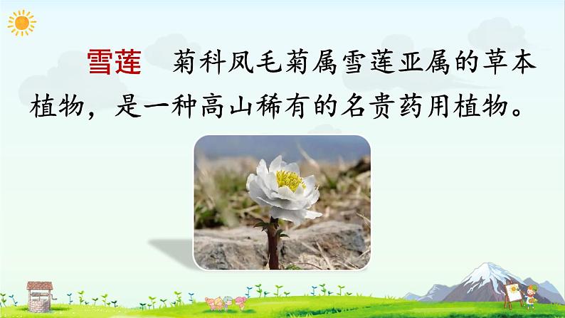 2 我多想去看看(课件)第5页