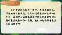 小学语文统编版（2024）六年级下册表里的生物优秀教学课件ppt