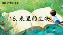 小学语文统编版（2024）六年级下册表里的生物教学课件ppt