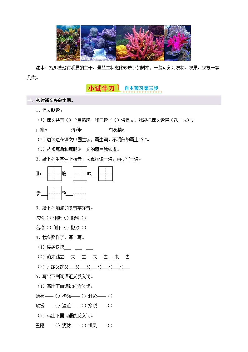 第7课《鹿角和鹿腿》-2024-2025学年三年级语文下册寒假自学讲义(统编版)第2页