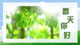 【核心素养】部编版小学语文二年级下册第1课《古诗二首 村居》同步课件+同步练习+同步教案