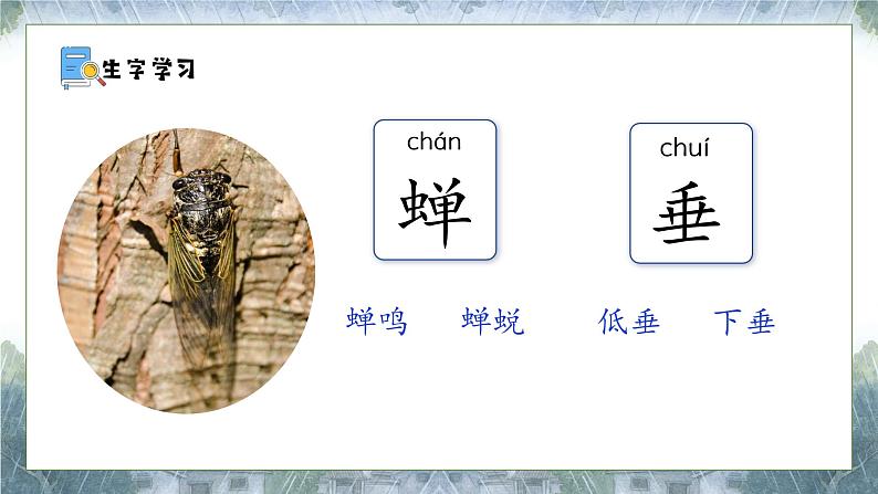 课文16 雷雨 课件第8页