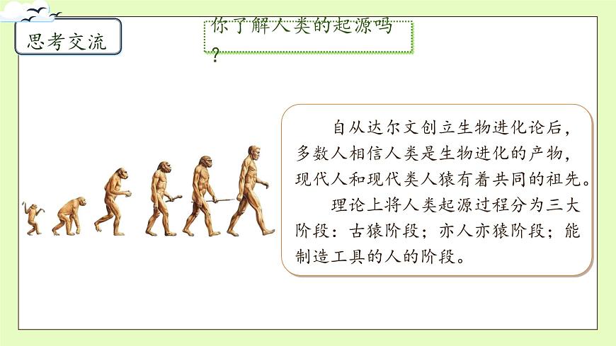 【備課無憂】統(tǒng)編版二下-23. 祖先的搖籃 第1課時(shí)（課件）.pptx第8頁