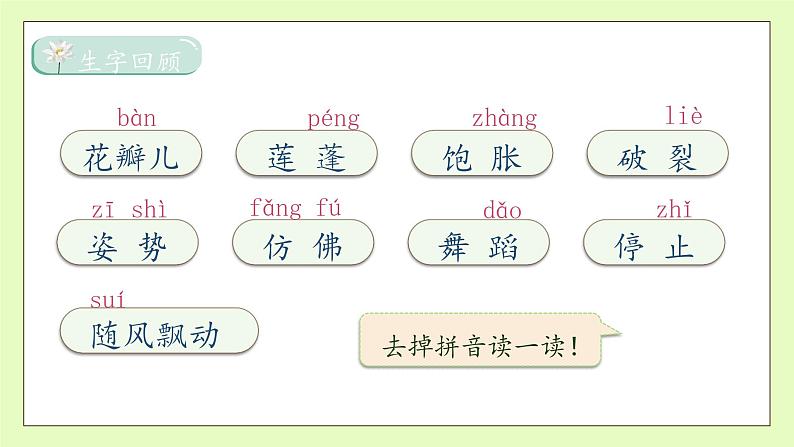 【备课无忧】统编版三下-3. 荷花 第2课时(课件).pptx第8页
