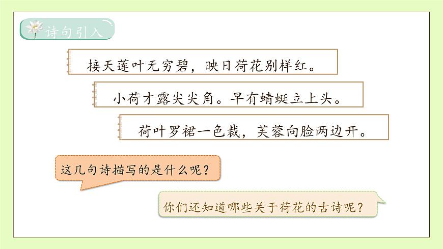 【備課無憂】統(tǒng)編版三下-3. 荷花 第1課時（課件）.pptx第8頁