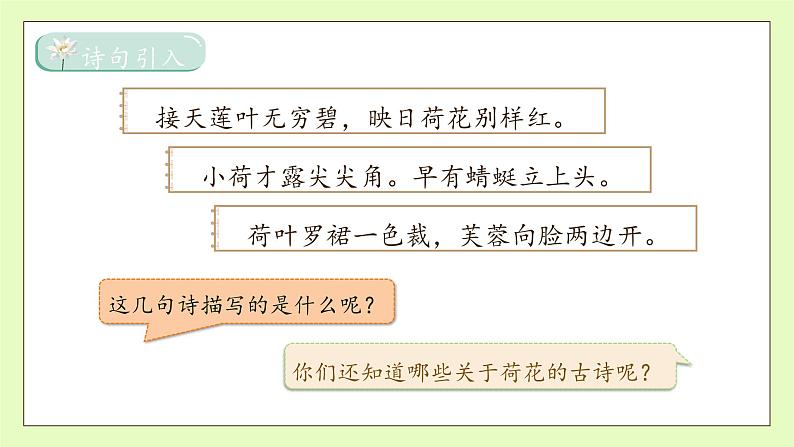 【备课无忧】统编版三下-3. 荷花 第1课时(课件).pptx第8页