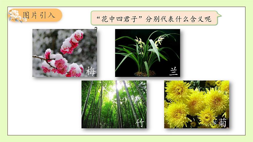 【備課無憂】統(tǒng)編版四下-22.古詩三首 第1課時（課件）.pptx第8頁