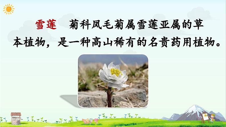 3 我多想去看看(课件)第4页