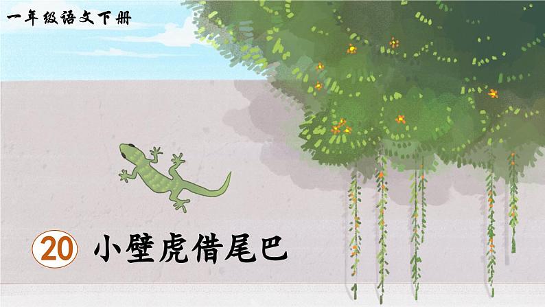 20 小壁虎借尾巴(课件)第2页
