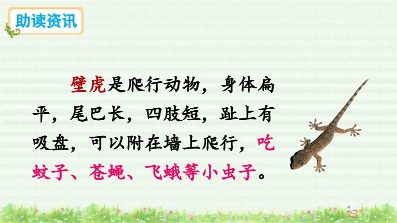 20 小壁虎借尾巴(课件)第3页