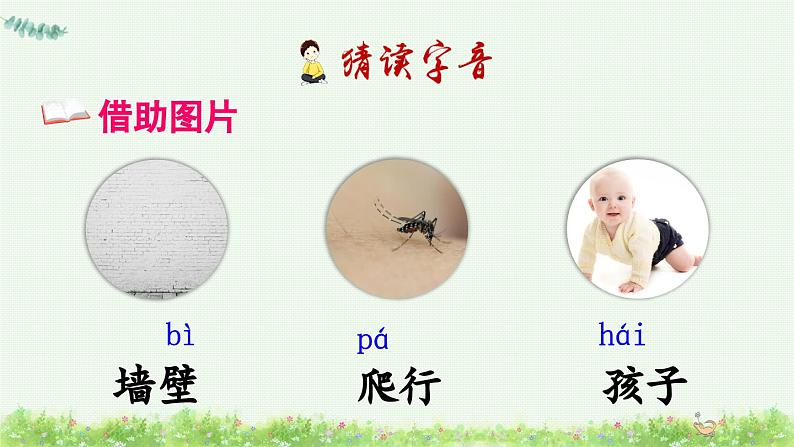20 小壁虎借尾巴(课件)第4页