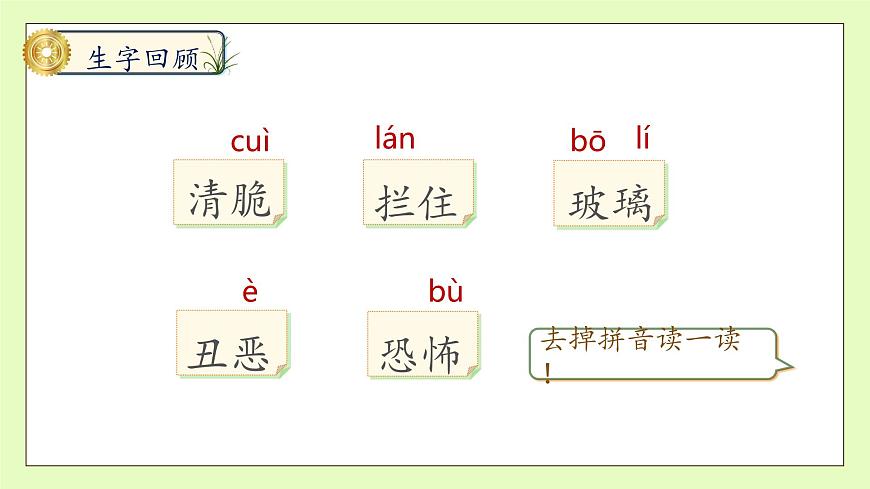 【備課無憂】統(tǒng)編版六下-16. 表里的生物 第2課時(shí)（課件）.pptx第8頁
