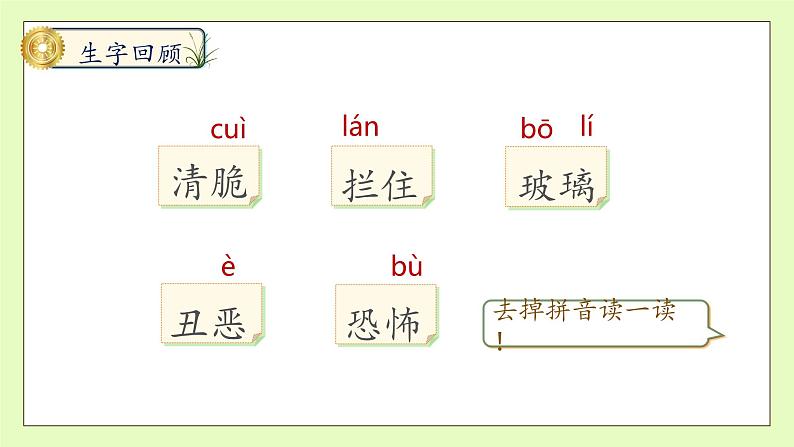 【备课无忧】统编版六下-16. 表里的生物 第2课时(课件).pptx第8页