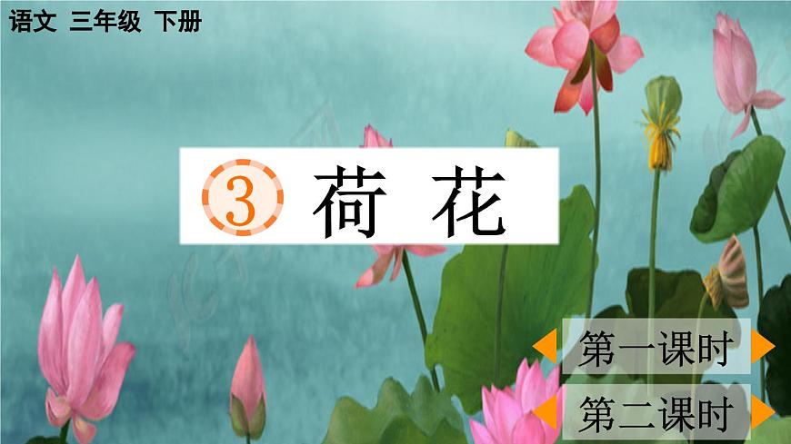 統(tǒng)編版三年級下冊 第3課《 荷花》課件 第1頁