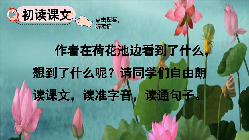統(tǒng)編版三年級下冊 第3課《 荷花》課件 第3頁
