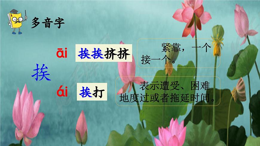 統(tǒng)編版三年級下冊 第3課《 荷花》課件 第5頁