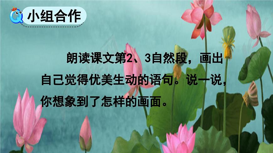 統(tǒng)編版三年級下冊 第3課《 荷花》課件 第7頁