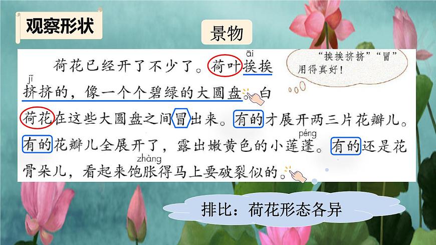 統(tǒng)編版三年級下冊 第3課《 荷花》課件 第8頁