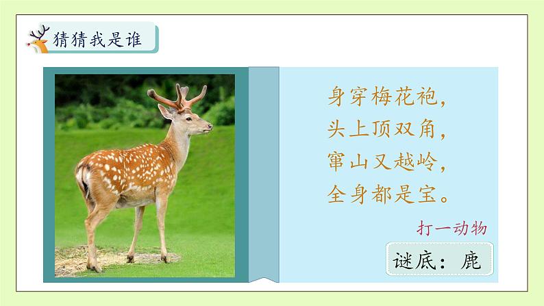 【备课无忧】统编版三下-7. 鹿角和鹿腿 第1课时(课件).pptx第8页