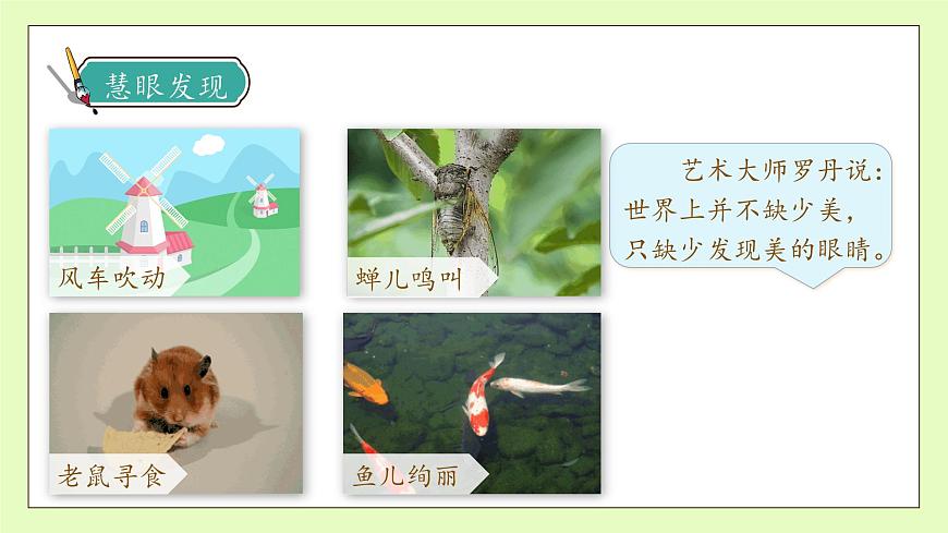 【備課無憂】統(tǒng)編版三下-22. 我們奇妙的世界 第1課時(shí)（課件）.pptx第8頁