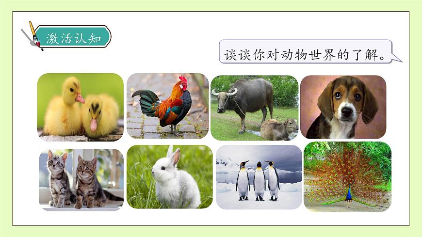 【備課無(wú)憂】統(tǒng)編版四下-習(xí)作4：我的動(dòng)物朋友（課件）.pptx第8頁(yè)